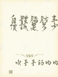 自体脂肪丰胸的价钱是多少