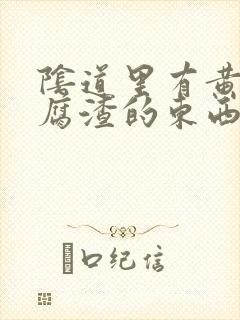 阴道里有黄色豆腐渣的东西