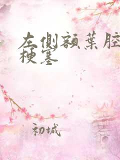 左侧额叶腔隙性梗塞