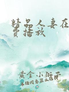 精品人妻在线免费播放