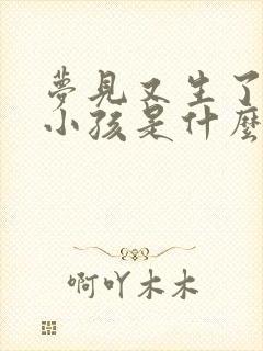 梦见又生了一个小孩是什么征兆