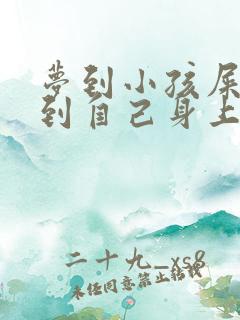 梦到小孩屎尿弄到自己身上