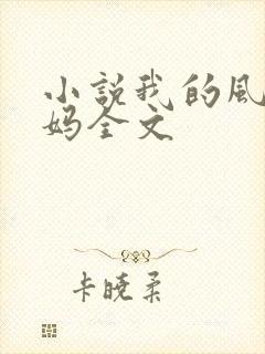 小说我的风流妈妈全文