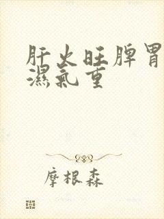 肝火旺脾胃虚寒湿气重