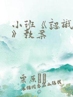 小班《认识五官》教案