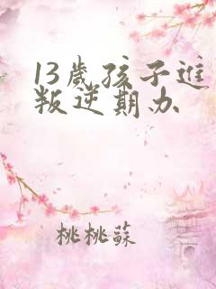 13岁孩子进入叛逆期办