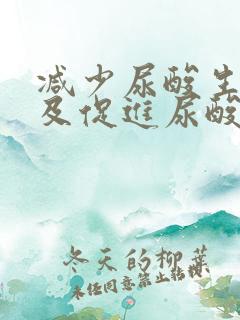 减少尿酸生成以及促进尿酸排泄的药物