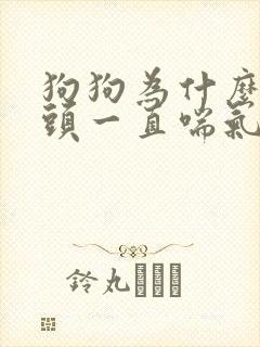 狗狗为什么吐舌头一直喘气