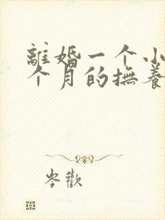 离婚一个小孩一个月的抚养费多少钱