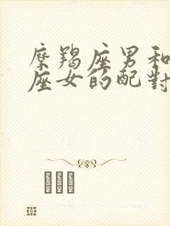 摩羯座男和水瓶座女的配对指数