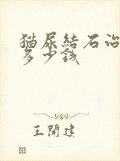 猫尿结石治疗要多少钱