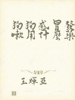 狗狗感冒发烧咳嗽用什么药效果好?