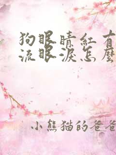 狗眼睛红有眼屎流眼泪怎么回事