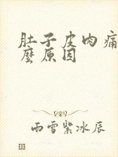 肚子皮肉痛是什么原因