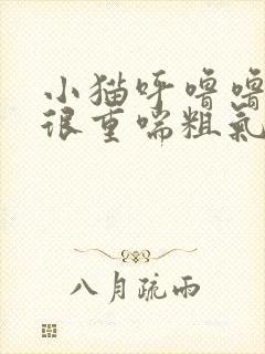 小猫呼噜噜声音很重喘粗气