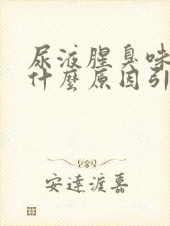 尿液腥臭味很重什么原因引起的