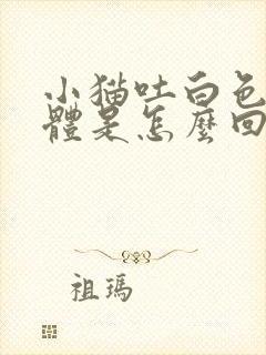 小猫吐白色的液体是怎么回事