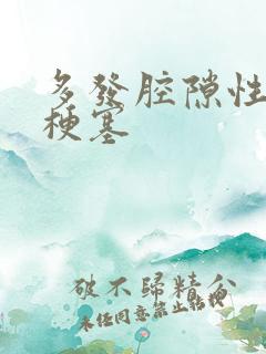 多发腔隙性脑内梗塞