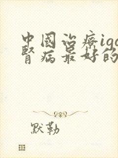 中国治疗iga肾病最好的医院