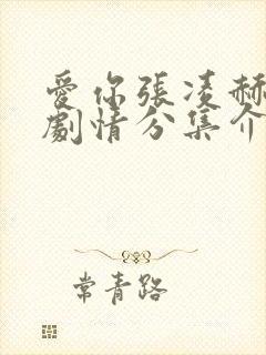 爱你张凌赫分集剧情分集介绍