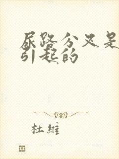 尿路分叉是怎么引起的