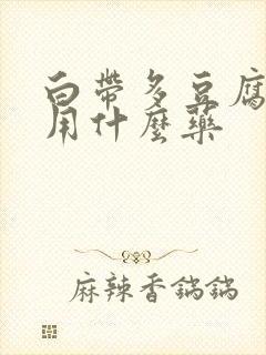 白带多豆腐渣状用什么药