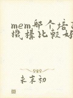 mem哪个培训机构比较好