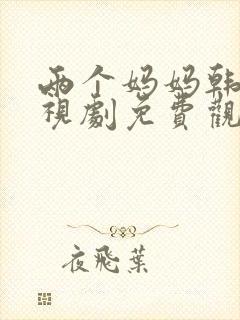 两个妈妈韩剧电视剧免费观看全集