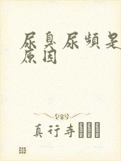 尿臭尿频是什么原因