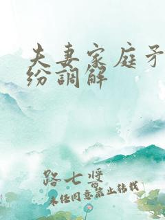 夫妻家庭矛盾纠纷调解