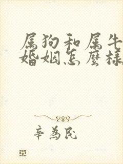 属狗和属牛女的婚姻怎么样