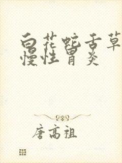 白花蛇舌草治疗慢性胃炎