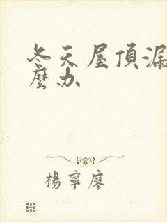 冬天屋顶漏水怎么办