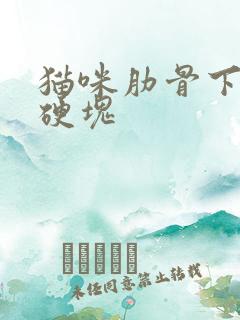 猫咪肋骨下面有硬块