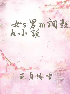 女s男m调教高h小说