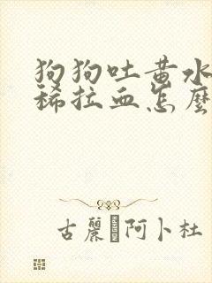 狗狗吐黄水又拉稀拉血怎么办