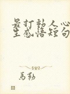 最打动人心的人生感悟短句