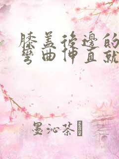 膝盖后边的腿窝弯曲伸直就疼