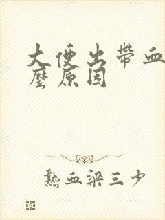 大便出带血是什么原因