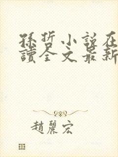 孙哲小说在线阅读全文最新