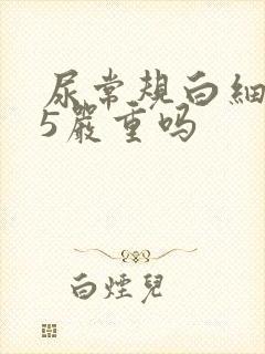 尿常规白细胞25严重吗