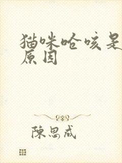 猫咪呛咳是什么原因