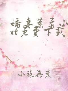 娇妻叶柔小说txt免费下载