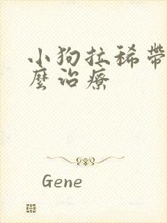 小狗拉稀带血怎么治疗