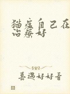 猫瘟自己在家能治疗好