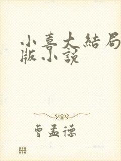 小喜大结局完整版小说