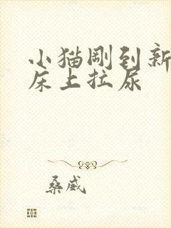 小猫刚到新家在床上拉尿