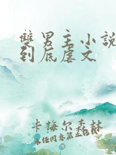 双男主小说一更到底虐文