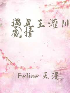 遇见王沥川分集剧情