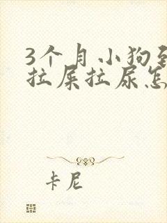 3个月小狗到处拉屎拉尿怎么办